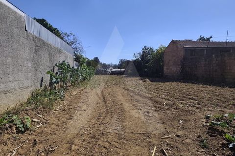 Helårsgrund i Agueda, Aveiro, Agueda - € 32.500 | Ref: 1060956/25 AL - foto 7