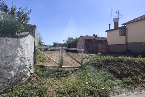 Helårsgrund i Agueda, Aveiro, Agueda - € 32.500 | Ref: 1060956/25 AL - foto 8
