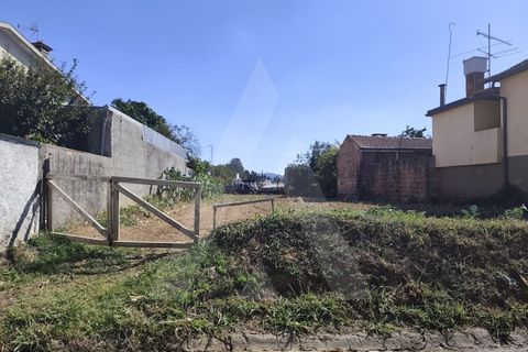 Helårsgrund i Agueda, Aveiro, Agueda - € 32.500 | Ref: 1060956/25 AL - foto 9