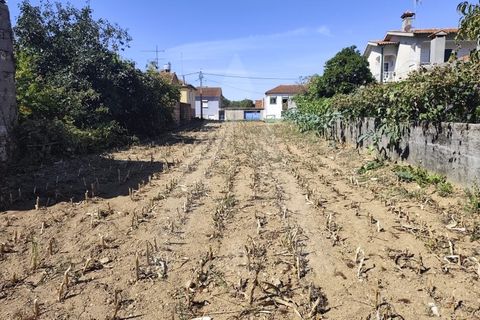 Helårsgrund i Agueda, Aveiro, Agueda - € 32.500 | Ref: 1060956/25 AL - foto 10
