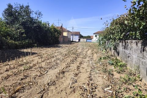 Helårsgrund i Agueda, Aveiro, Agueda - € 32.500 | Ref: 1060956/25 AL - foto 11