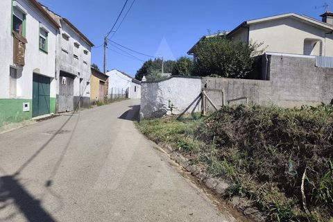 Helårsgrund i Agueda, Aveiro, Agueda - € 32.500 | Ref: 1060956/25 AL - foto 12