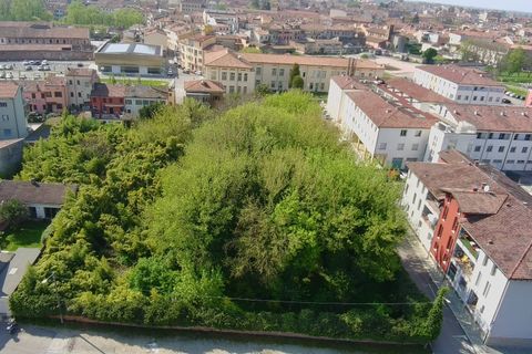 Helårsgrund i Mantua, Mantua, Mantua - € 2.000.000 | Ref: 5916 - foto 7