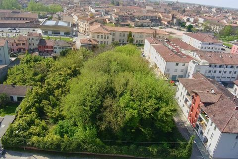 Helårsgrund i Mantua, Mantua, Mantua - € 2.000.000 | Ref: 5916 - foto 8