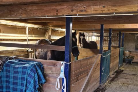 Farm hus i Maîche, Doubs, Maîche - € 390.000 | Ref: 1146 - foto 11