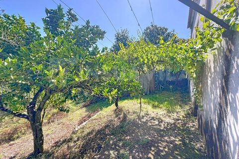Villa i Caminha, Viana do Castelo, Caminha - € 265.000 | Ref: 2701 - foto 26