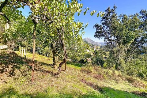 Villa i Caminha, Viana do Castelo, Caminha - € 265.000 | Ref: 2701 - foto 27