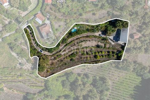 Villa i Cinfaes, Viseu, Cinfaes - € 368.500 | Ref: ZMPT581174 - foto 39