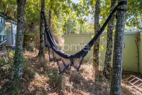 Villa i Cinfaes, Viseu, Cinfaes - € 368.500 | Ref: ZMPT581174 - foto 25