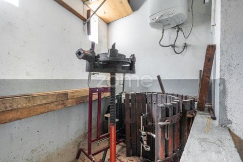 Villa i Cinfaes, Viseu, Cinfaes - € 368.500 | Ref: ZMPT581174 - foto 26