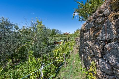 Villa i Cinfaes, Viseu, Cinfaes - € 368.500 | Ref: ZMPT581174 - foto 32