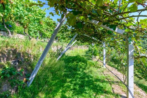 Villa i Cinfaes, Viseu, Cinfaes - € 368.500 | Ref: ZMPT581174 - foto 33