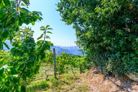 Villa i Cinfaes, Viseu, Cinfaes - € 368.500 | Ref: ZMPT581174 - foto 34