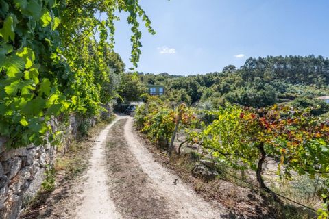 Villa i Cinfaes, Viseu, Cinfaes - € 368.500 | Ref: ZMPT581174 - foto 35