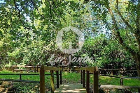 Byhus i Vila do Conde, Porto, Vila do Conde - € 310.000 | Ref: 240-M-25923 - foto 2