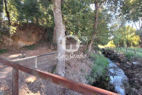 Byhus i Vila do Conde, Porto, Vila do Conde - € 310.000 | Ref: 240-M-25923 - foto 13