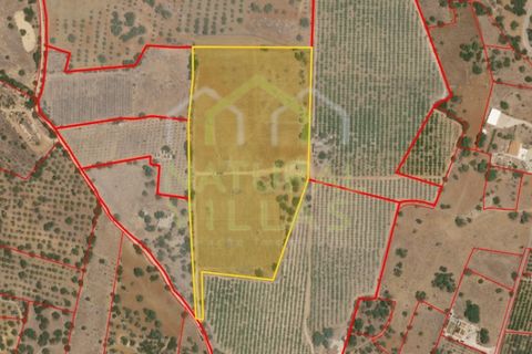 Helårsgrund i Estoi, Faro, Estoi - € 1.000.000 | Ref: TER_2874_VEND - foto 1