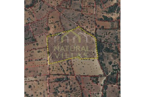 Helårsgrund i Estoi, Faro, Estoi - € 1.000.000 | Ref: TER_2867_VEND - foto 1