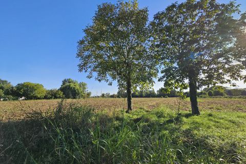 Terra a Borgo Veneto, Padua, Borgo Veneto - € 80.000 | Ref: TER 285 - foto 2