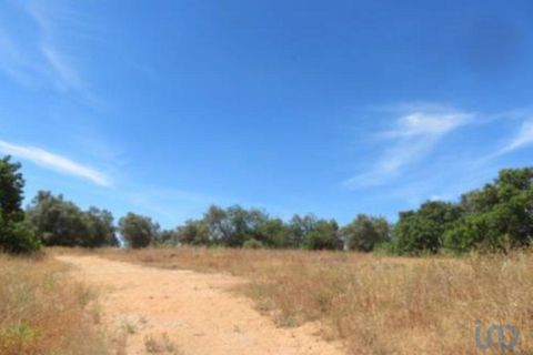 Helårsgrund i Tavira, Faro, Tavira - € 9.900.000 | Ref: 148244 - foto 7