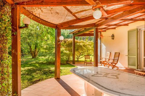 Villa i Massa, Massa and Carrara, Massa - € 2.400.000 | Ref: CBI129-2906-130559 - foto 5