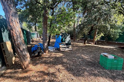 Terra a Vacarisses, Barcelona, Vacarisses - € 88.000 | Ref: EXP11492/8930 - foto 6