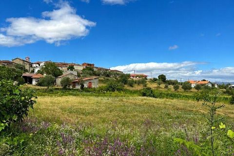 Terra em Chaves, Vila Real, Chaves - € 90.000 | Ref: 96536 - foto 3
