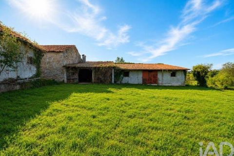 Terra em Chaves, Vila Real, Chaves - € 90.000 | Ref: 96536 - foto 6