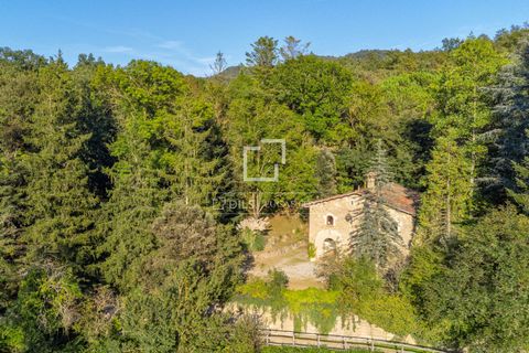 Landejendom i La Vall D'en Bas, Gerona, La Vall D'en Bas - € 590.000 | Ref: GIR63209 - foto 36