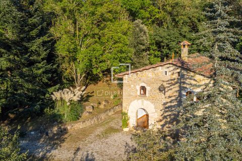 Landejendom i La Vall D'en Bas, Gerona, La Vall D'en Bas - € 590.000 | Ref: GIR63209 - foto 37