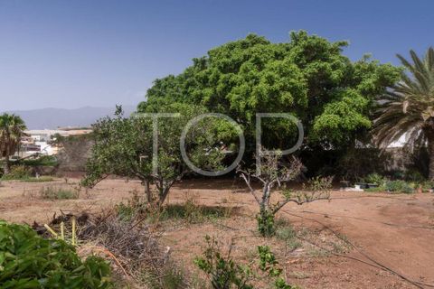 Byhus i Candelaria, Tenerife, Candelaria - € 1.595.000 | Ref: TOP-IC-325 - foto 44