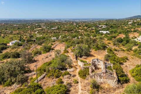 Terra a Estoi, Faro, Estoi - € 495.000 | Ref: ST2378 - foto 4