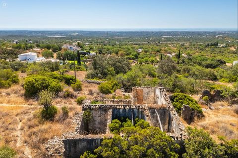 Terra a Estoi, Faro, Estoi - € 495.000 | Ref: ST2378 - foto 7