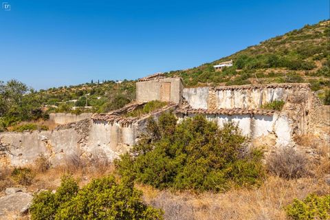 Terra a Estoi, Faro, Estoi - € 495.000 | Ref: ST2378 - foto 8