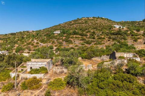 Terra a Estoi, Faro, Estoi - € 495.000 | Ref: ST2378 - foto 13