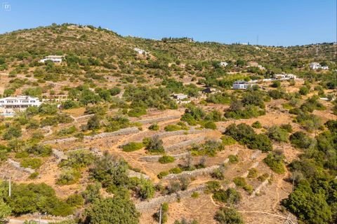 Terra a Estoi, Faro, Estoi - € 495.000 | Ref: ST2378 - foto 15