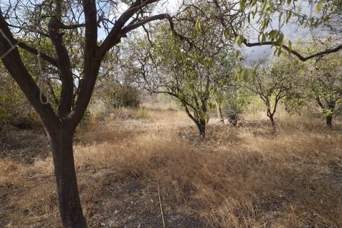 Terra a Berja, Almeria, Berja - € 89.700 | Ref: Callejón de Beltran - foto 5