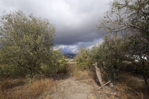Terra a Berja, Almeria, Berja - € 89.700 | Ref: Callejón de Beltran - foto 8