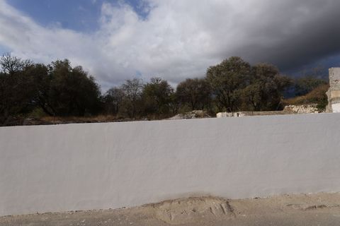 Terra a Berja, Almeria, Berja - € 89.700 | Ref: Callejón de Beltran - foto 16