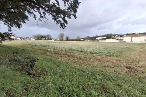Helårsgrund i Santo Tirso, Porto, Santo Tirso - € 500.000 | Ref: 428250057 - foto 1