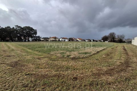 Helårsgrund i Santo Tirso, Porto, Santo Tirso - € 500.000 | Ref: 428250057 - foto 2
