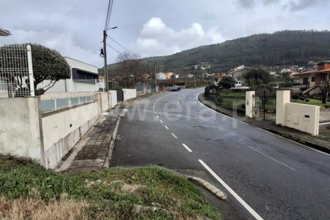 Helårsgrund i Santo Tirso, Porto, Santo Tirso - € 500.000 | Ref: 428250057 - foto 3