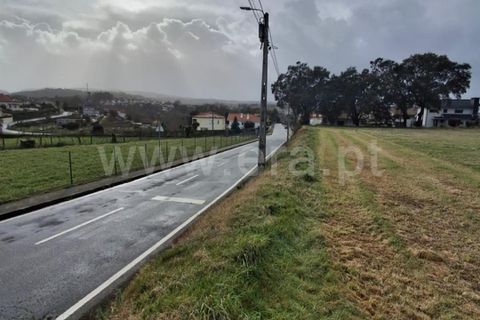 Helårsgrund i Santo Tirso, Porto, Santo Tirso - € 500.000 | Ref: 428250057 - foto 4