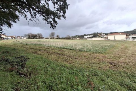 Helårsgrund i Santo Tirso, Porto, Santo Tirso - € 500.000 | Ref: 428250057 - foto 5