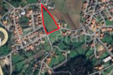 Helårsgrund i Santo Tirso, Porto, Santo Tirso - € 500.000 | Ref: 428250057 - foto 7