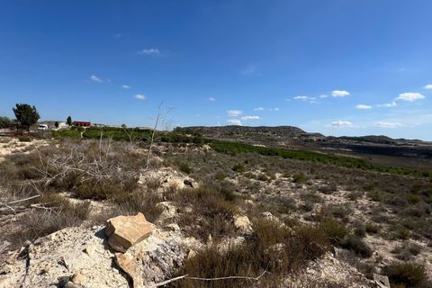 Herregård i Orihuela, Alicante, Orihuela - € 300 000 | Ref: D-2063 - foto 11