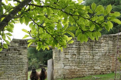 Villa i Fontenay-le-Comte, Vendee, Fontenay-le-Comte - € 642.300 | Ref: 422801MCM - foto 17