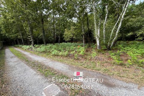 Tomt i Sanguinet, Landes, Sanguinet - € 65 990 | Ref: 422277ECR - foto 2