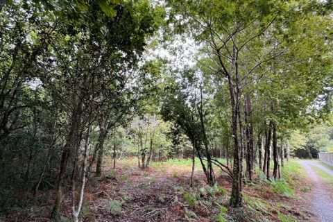Tomt i Sanguinet, Landes, Sanguinet - € 65 990 | Ref: 422277ECR - foto 3