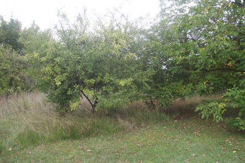 Terra a Chavanges, Aube, Chavanges - € 21.000 | Ref: 423016HCH - foto 2